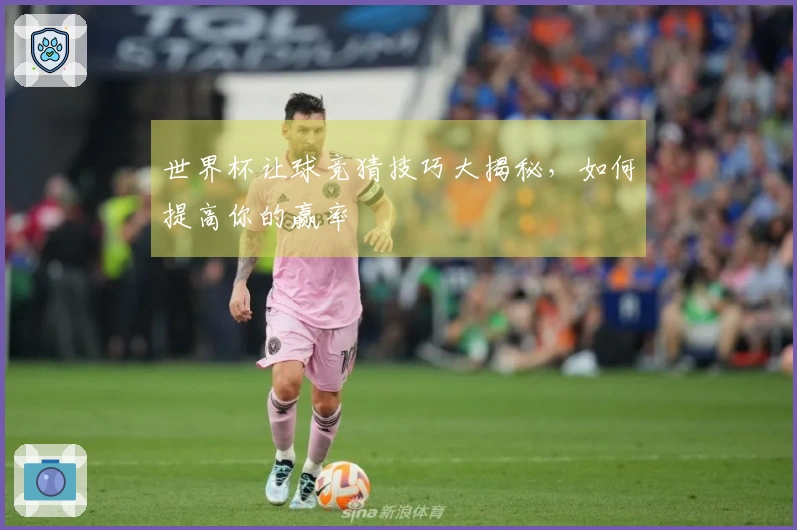 世界杯让球竞猜技巧大揭秘，如何提高你的赢率