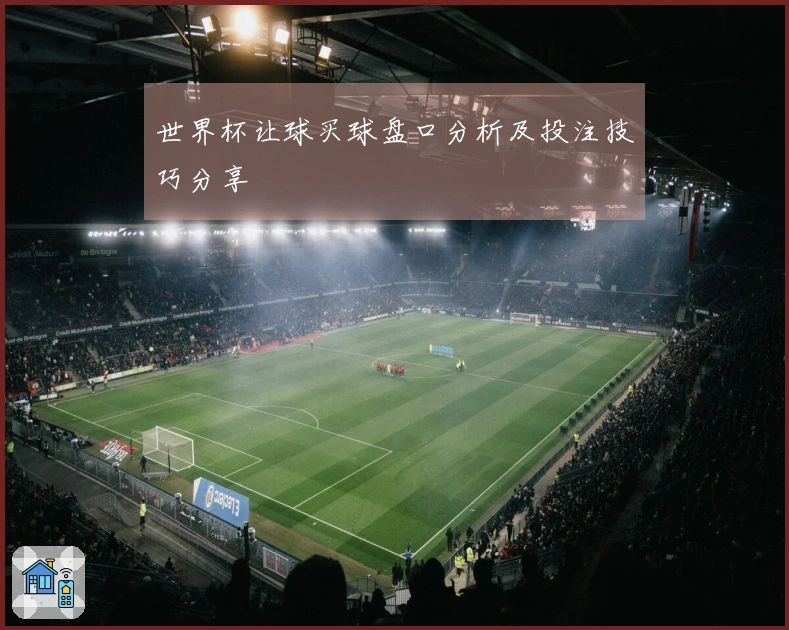 世界杯让球买球盘口分析及投注技巧分享
