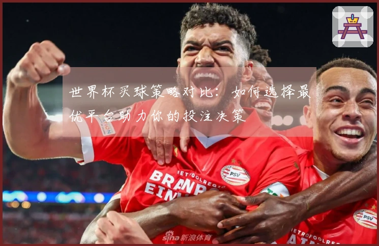 世界杯买球策略对比：如何选择最优平台助力你的投注决策
