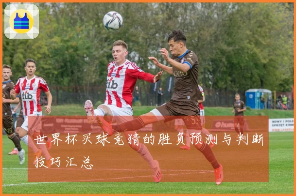 世界杯买球竞猜的胜负预测与判断技巧汇总