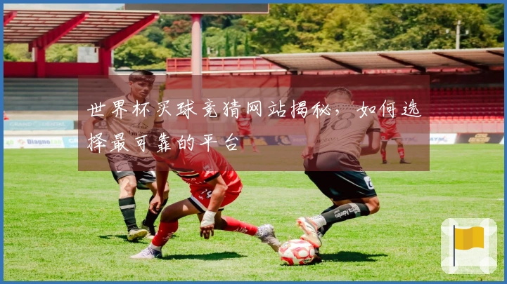 世界杯买球竞猜网站揭秘，如何选择最可靠的平台