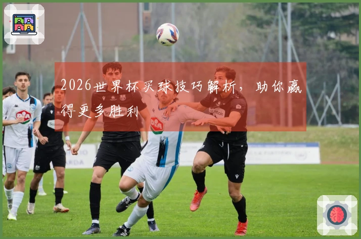 2026世界杯买球技巧解析，助你赢得更多胜利