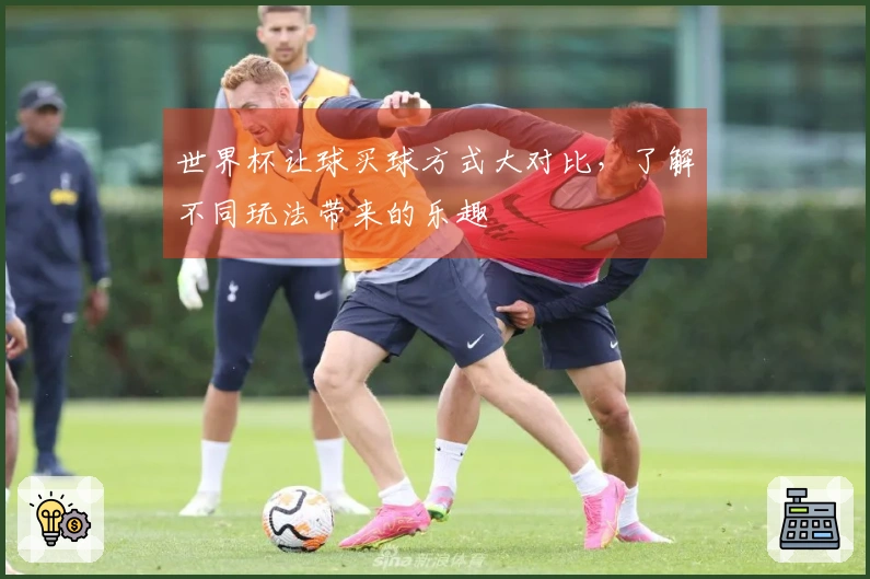 世界杯让球买球方式大对比，了解不同玩法带来的乐趣