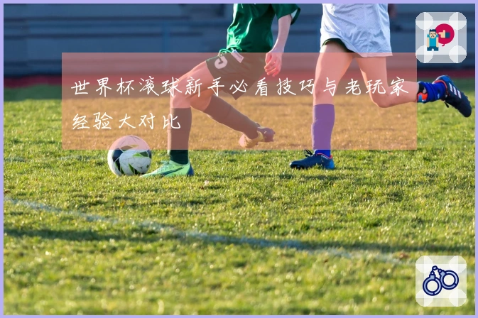 世界杯滚球新手必看技巧与老玩家经验大对比